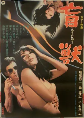 午夜书店温情短剧预约在线观看